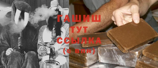 МДПВ Ельня
