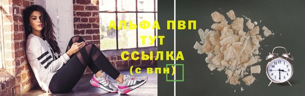 СК Заводоуковск
